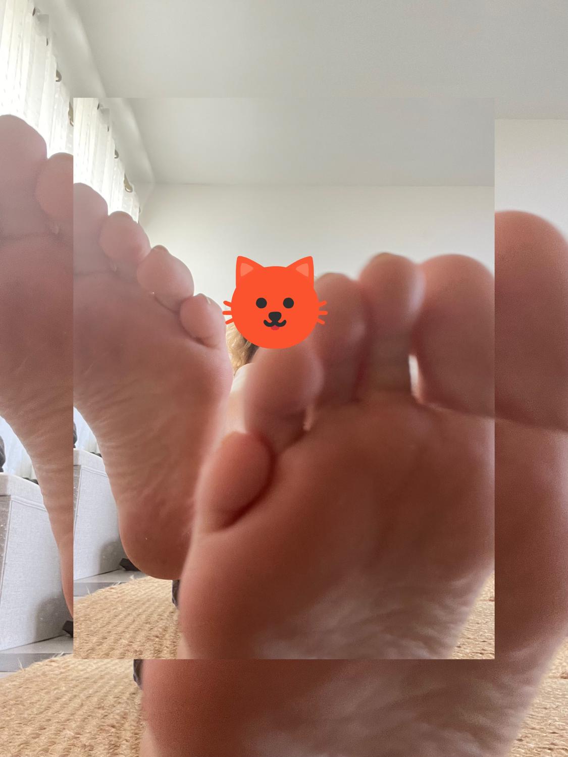 Lylifoot's media