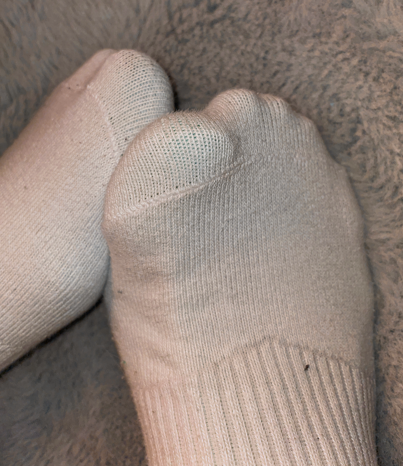 Maccimofeet's media