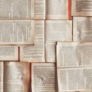 Madamepoesie's media
