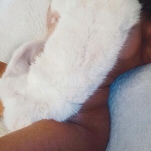 Maheeva's media