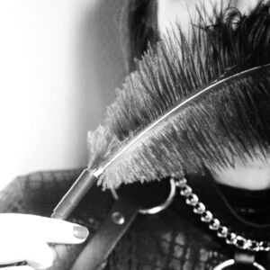 Maitresse_blanche's media