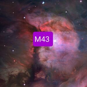 Malefique43's media