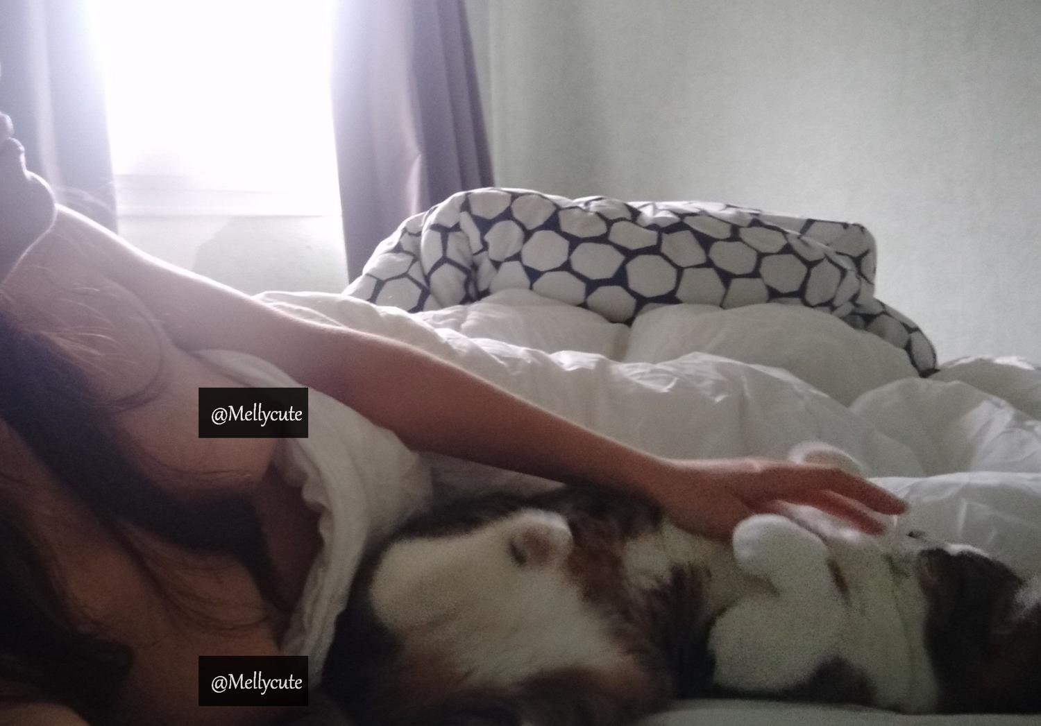 Mellycute's media