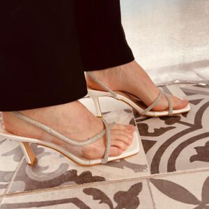 Mermaid-feet's media