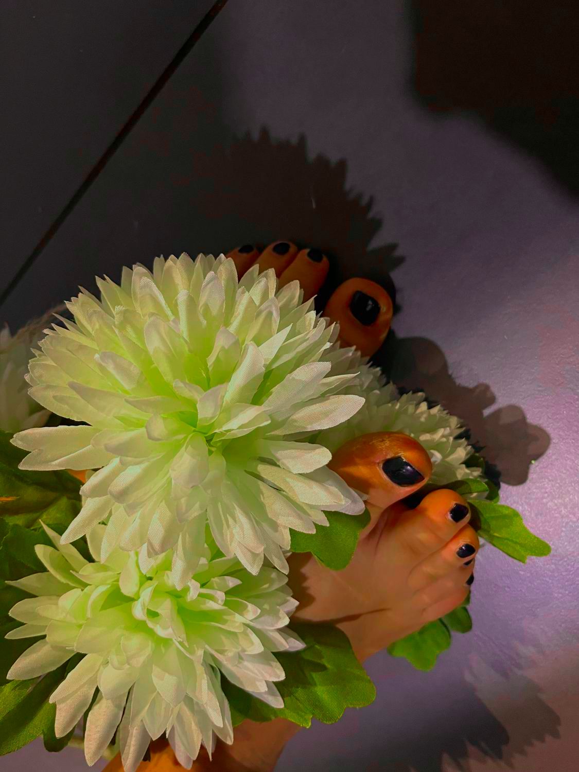 Mes_petits_pieds75's media