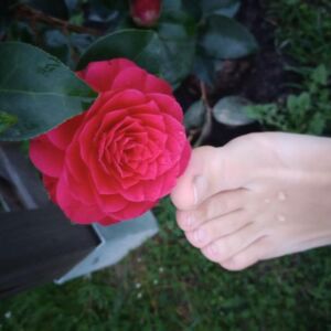Mestoutpetitpieds's avatar