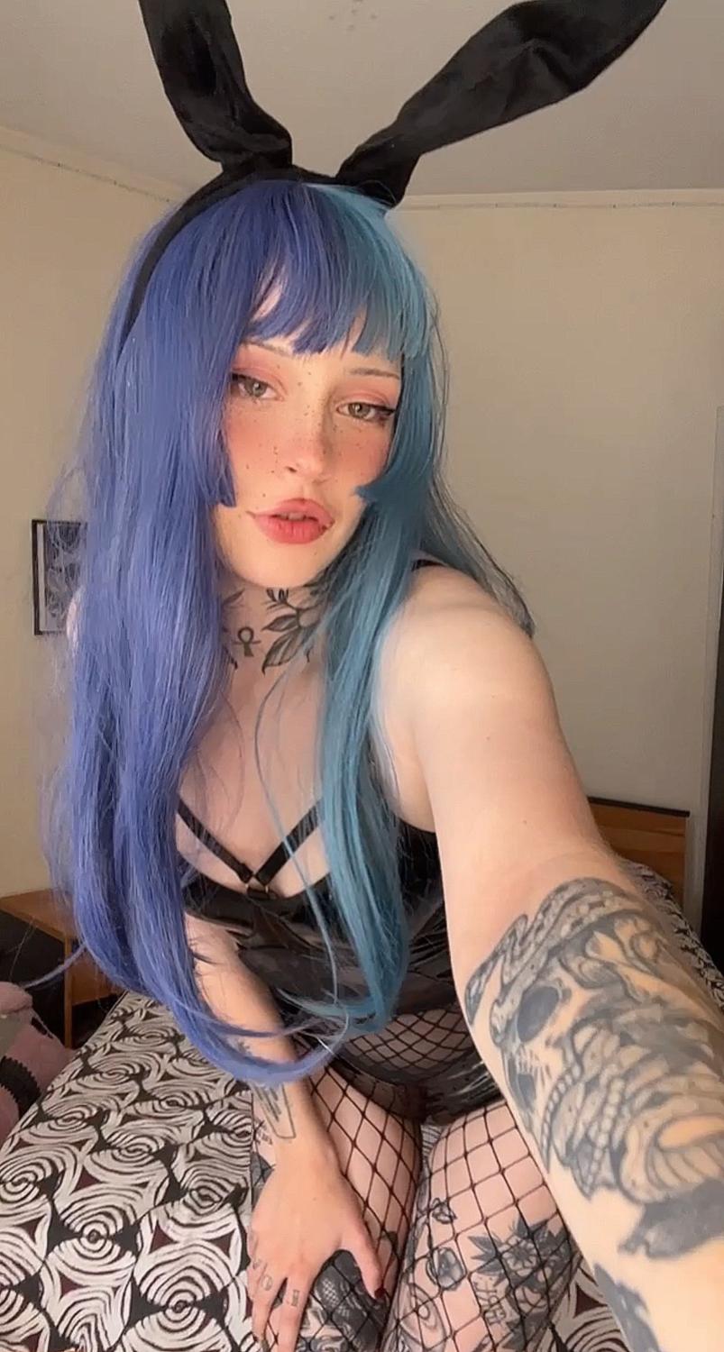 Miaxnolan's media