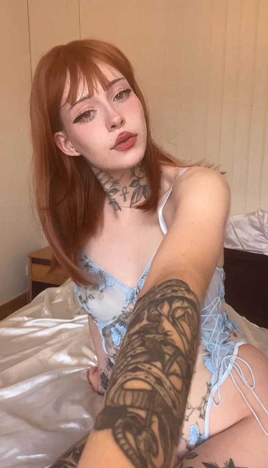 Miaxnolan's media
