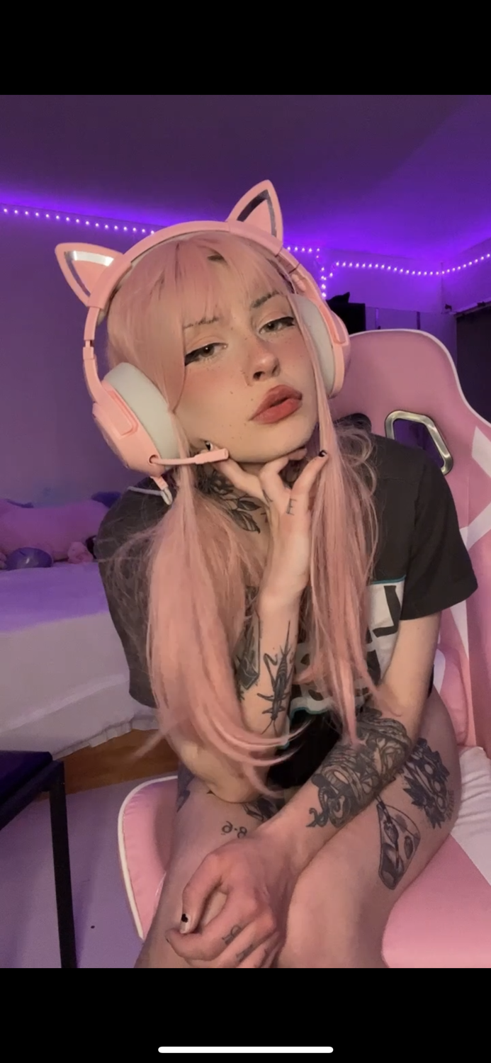 Miaxnolan's media