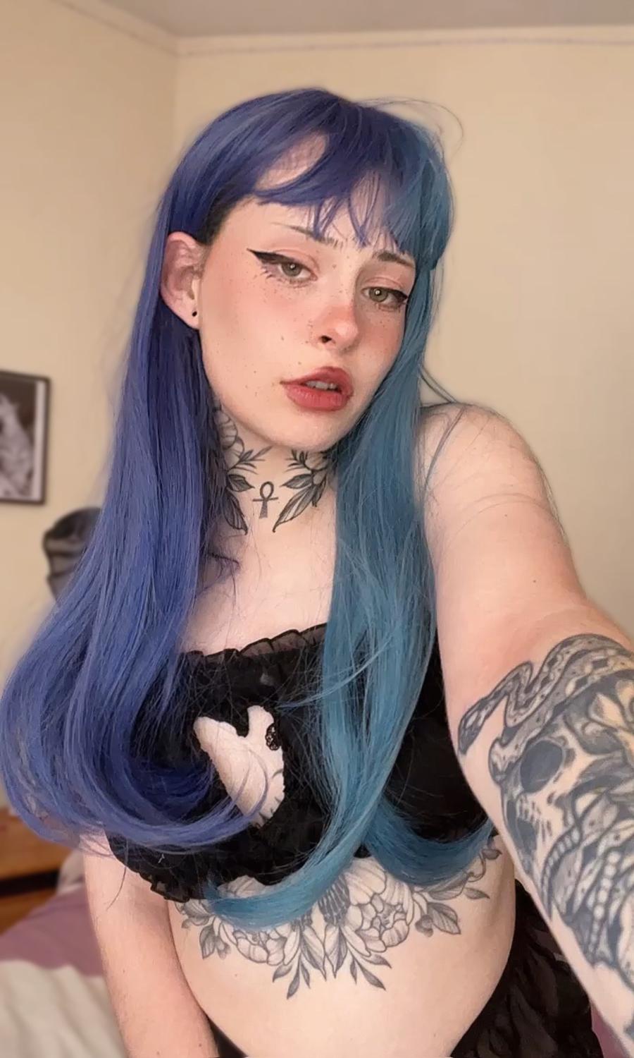 Miaxnolan's media