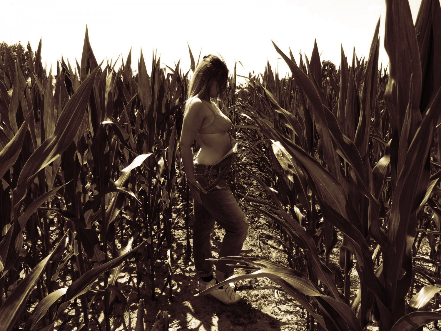 Michana-lapine's media