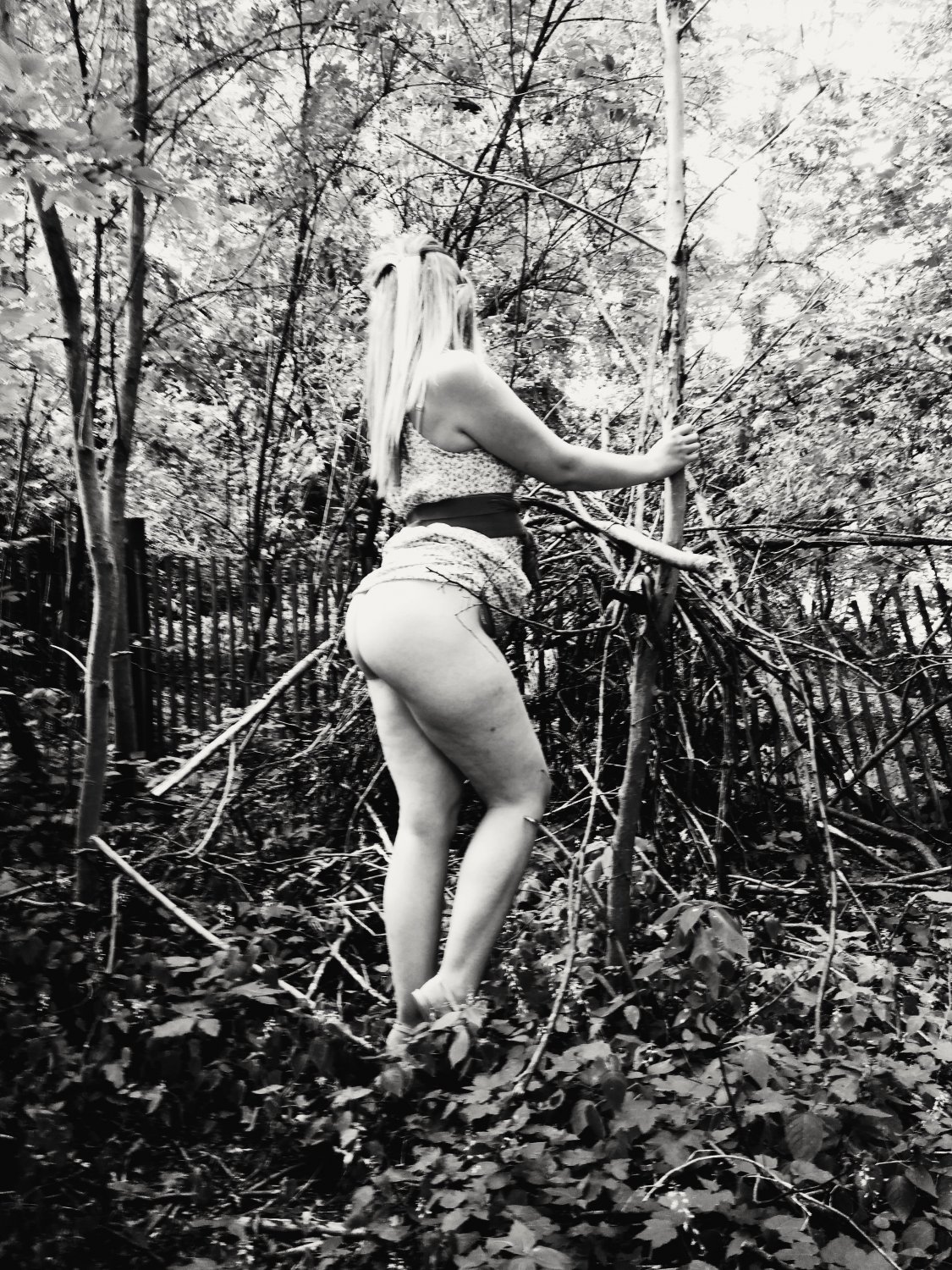 Michana-lapine's media