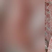 Miia21's media