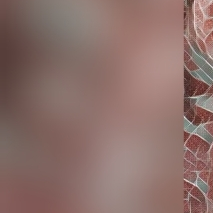 Miia21's media
