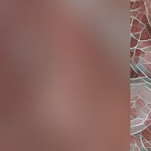 Miia21's media