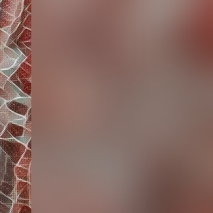 Miia21's media