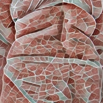 Miia21's media
