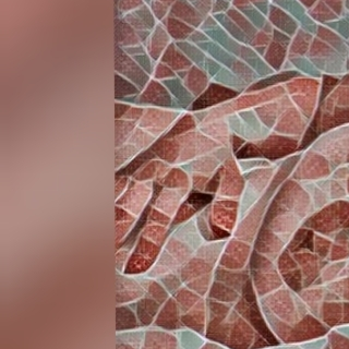 Miia21's media