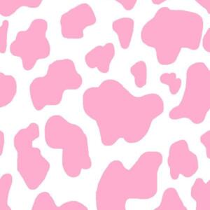 Misslilykawaii's media