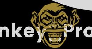 Monkey_pronos13's media