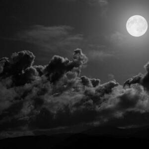 Moon_of_athena's media