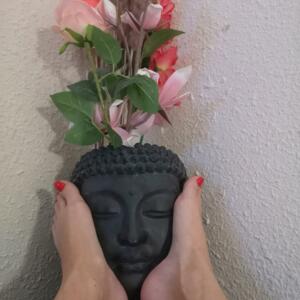 Moonfeet36's media