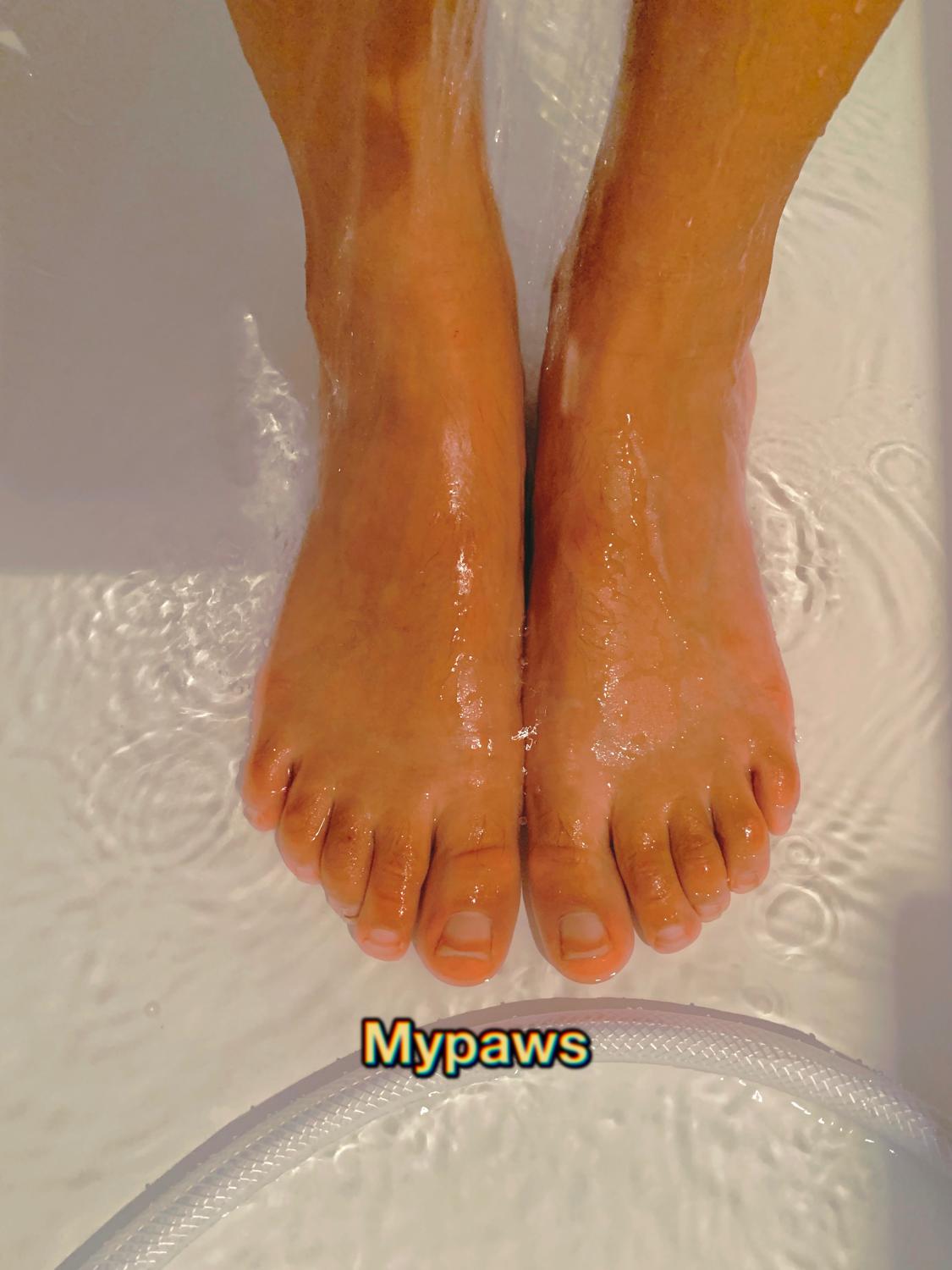 Mypaws's media