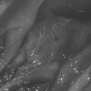 Nakedsoul's media