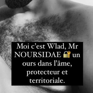 Noursidae's media