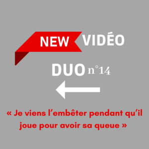 Occoquine's media