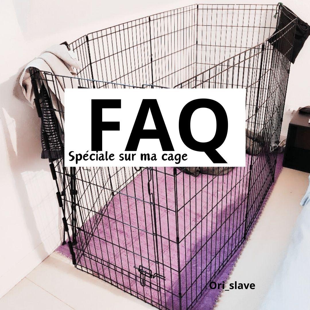 Ori_slave's media