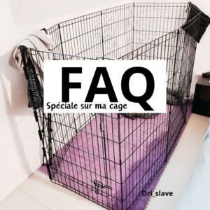 Ori_slave's media