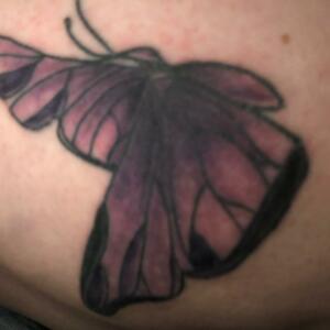 Papillonstattoo's media