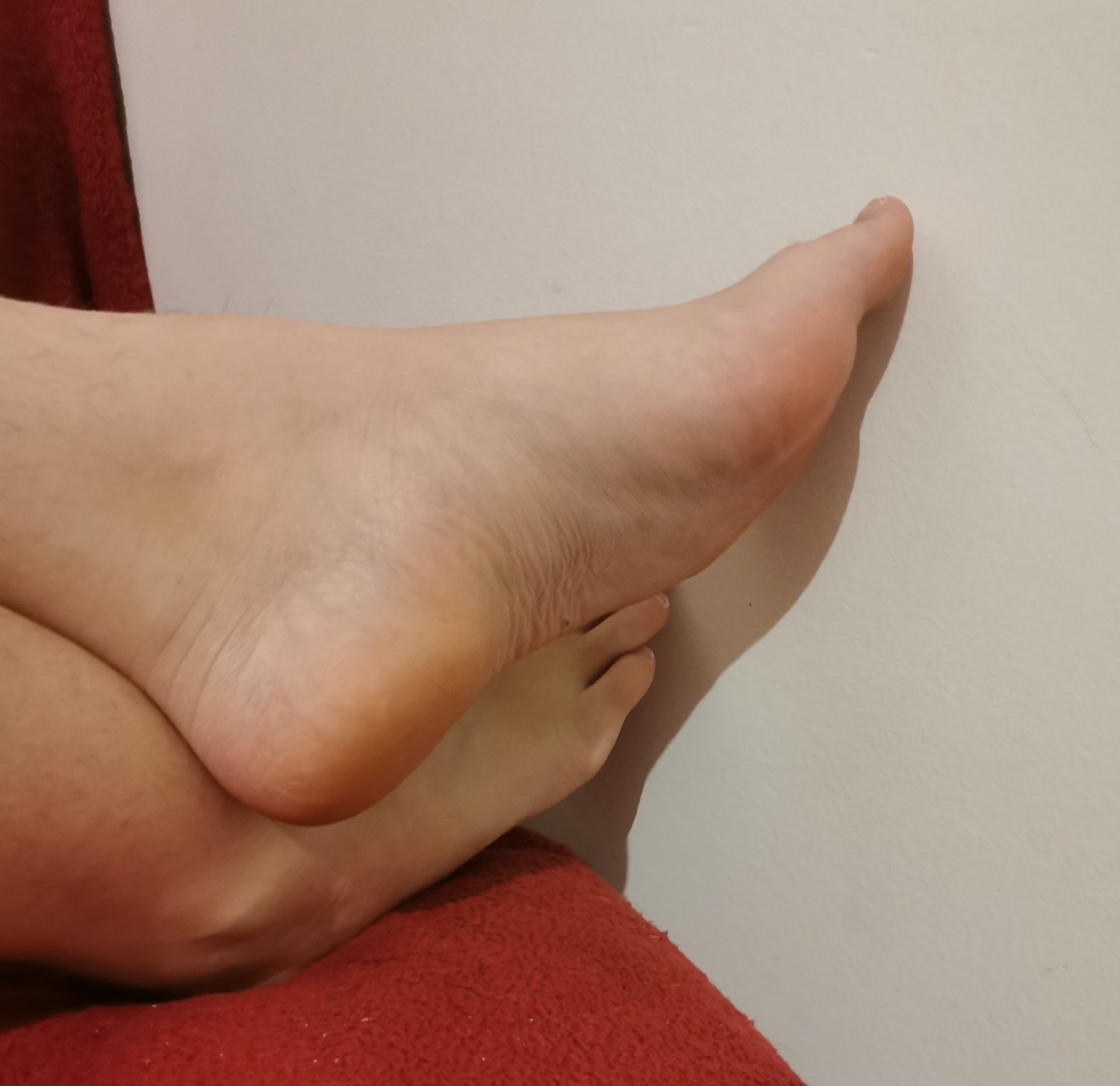 Petit-pieds34's media
