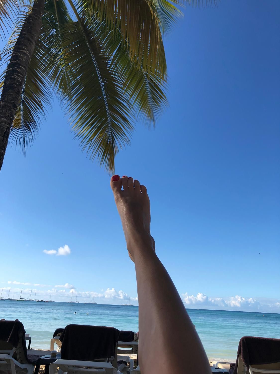 Petitbaindepieds's media