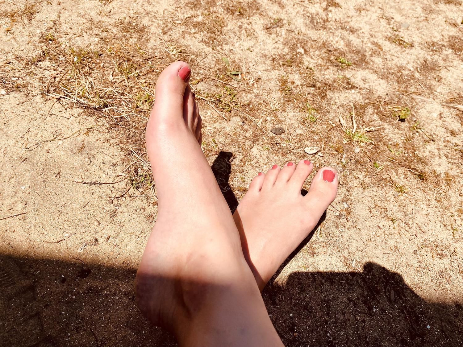 Petitpied_elise's media