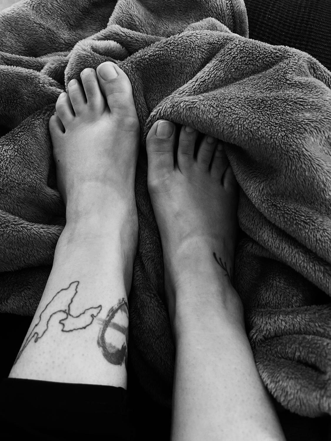 Petits-pieds36's media