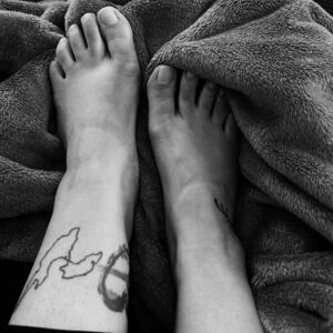 Petits-pieds36's media
