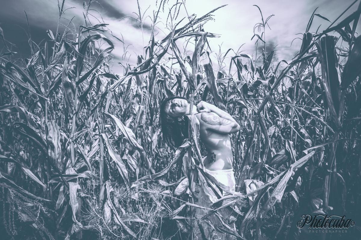 Photocuba's media