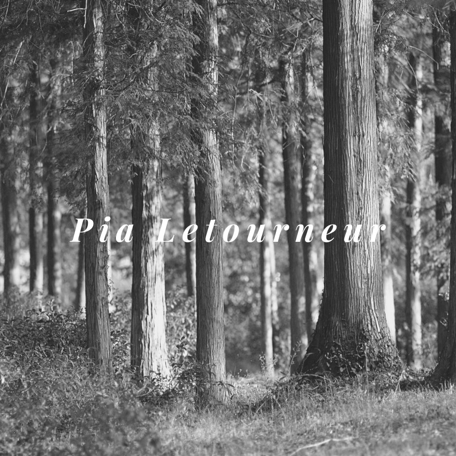 Pialetourneur's media
