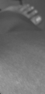 _pied123's media