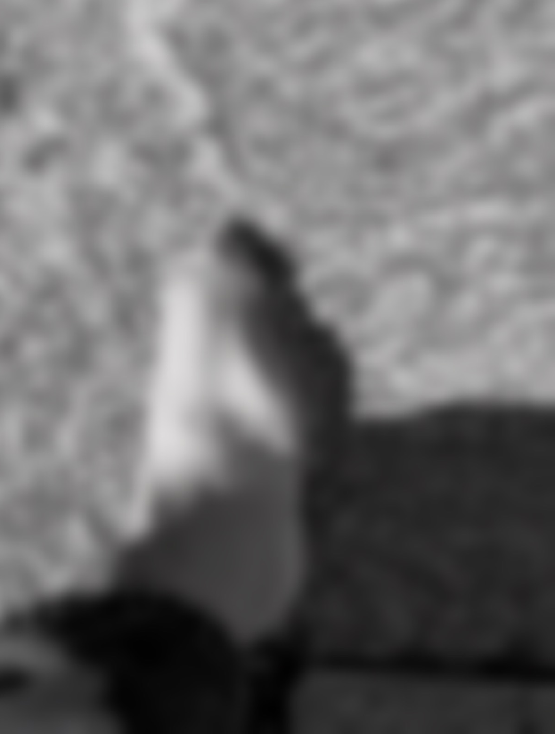 _piedhommetatoue_'s media