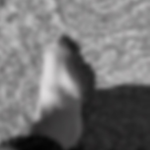 _piedhommetatoue_'s media