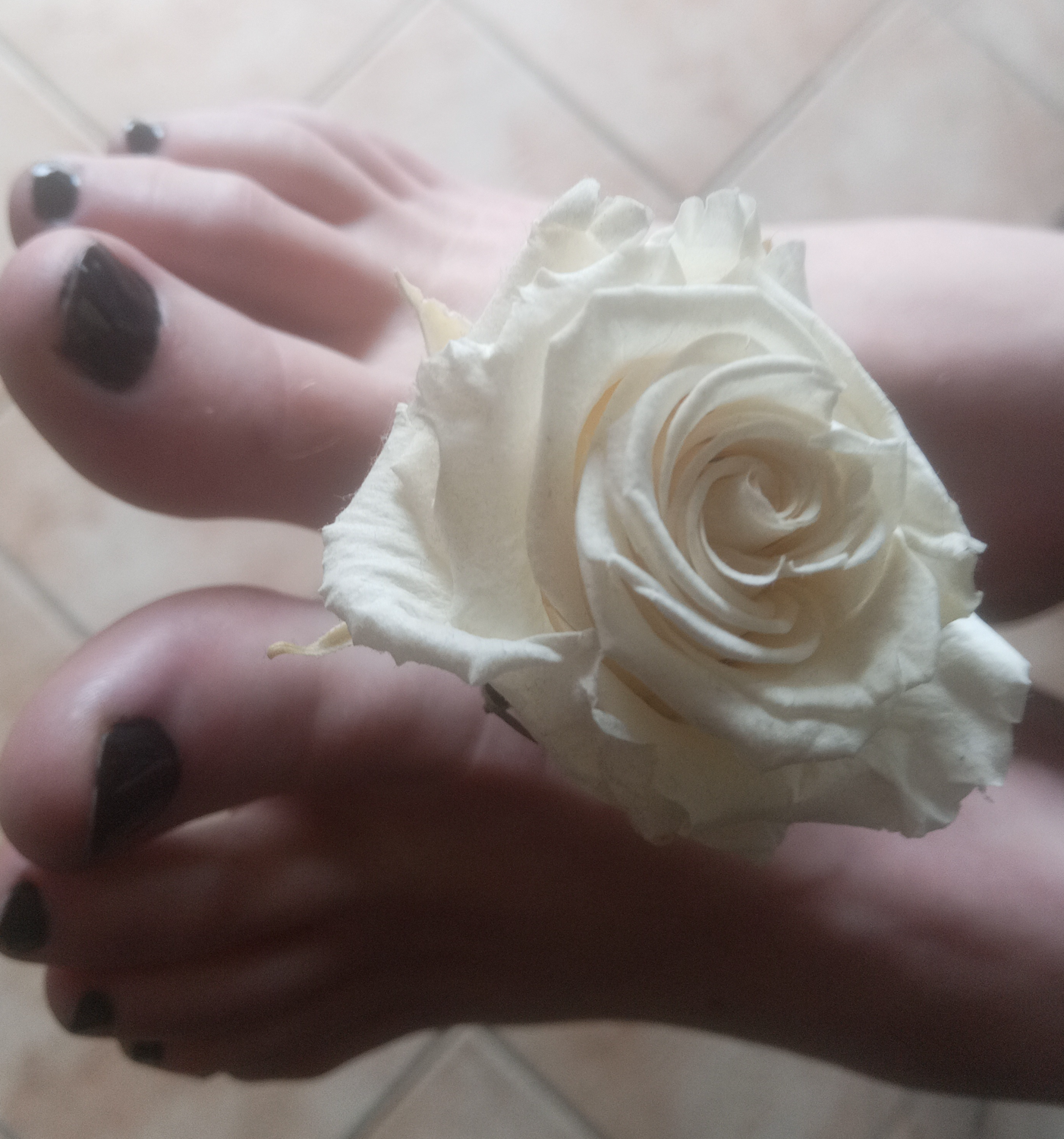 Pieds-76's media