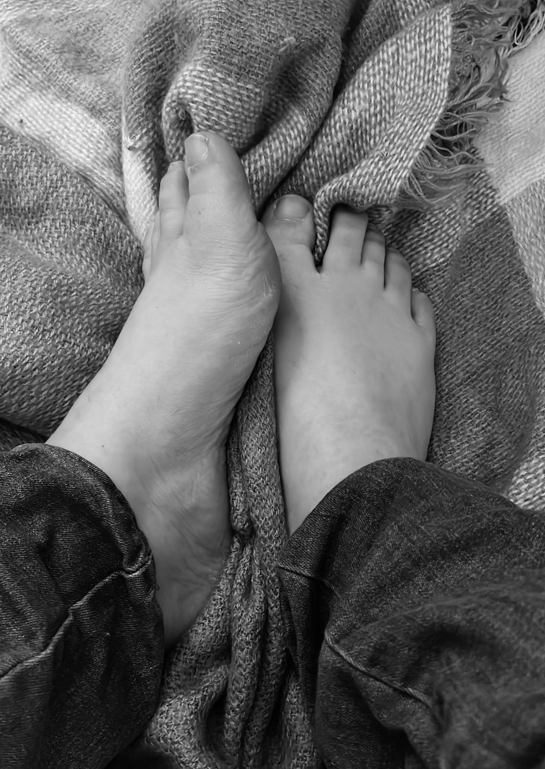 Pieds-de-mary's media