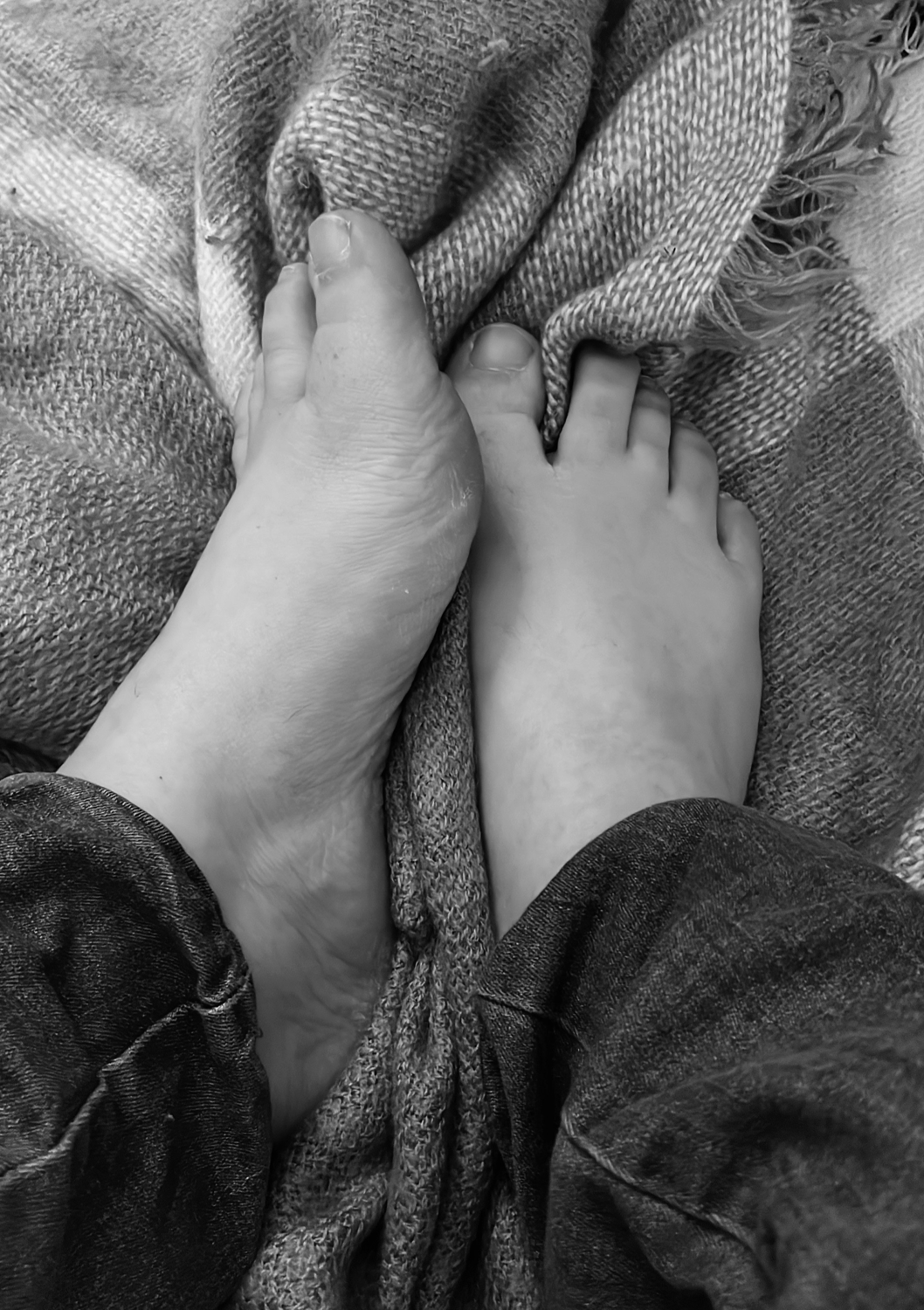 Pieds-de-mary's media