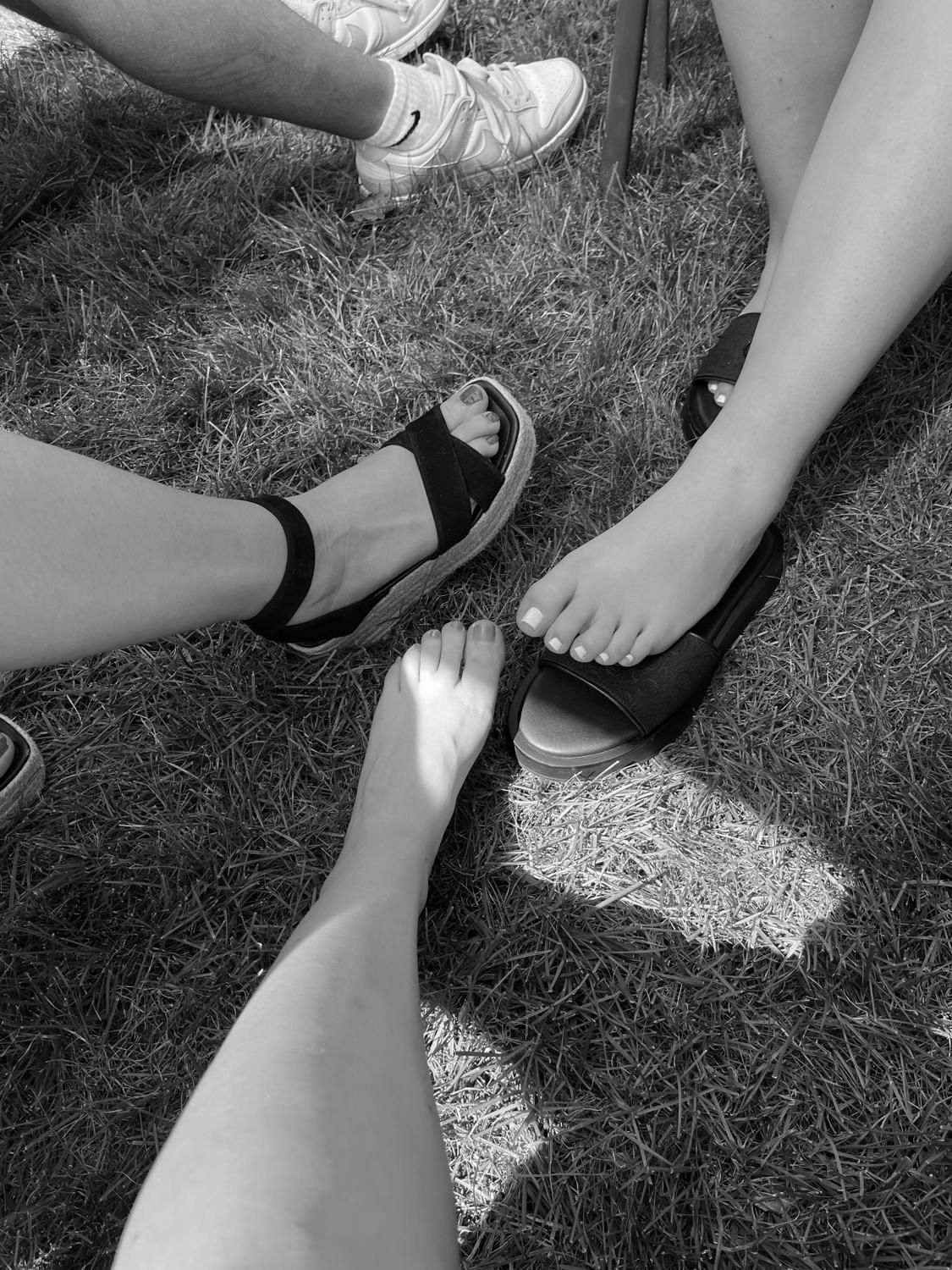 Pieds-des-sapins's media