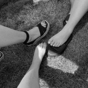 Pieds-des-sapins's media