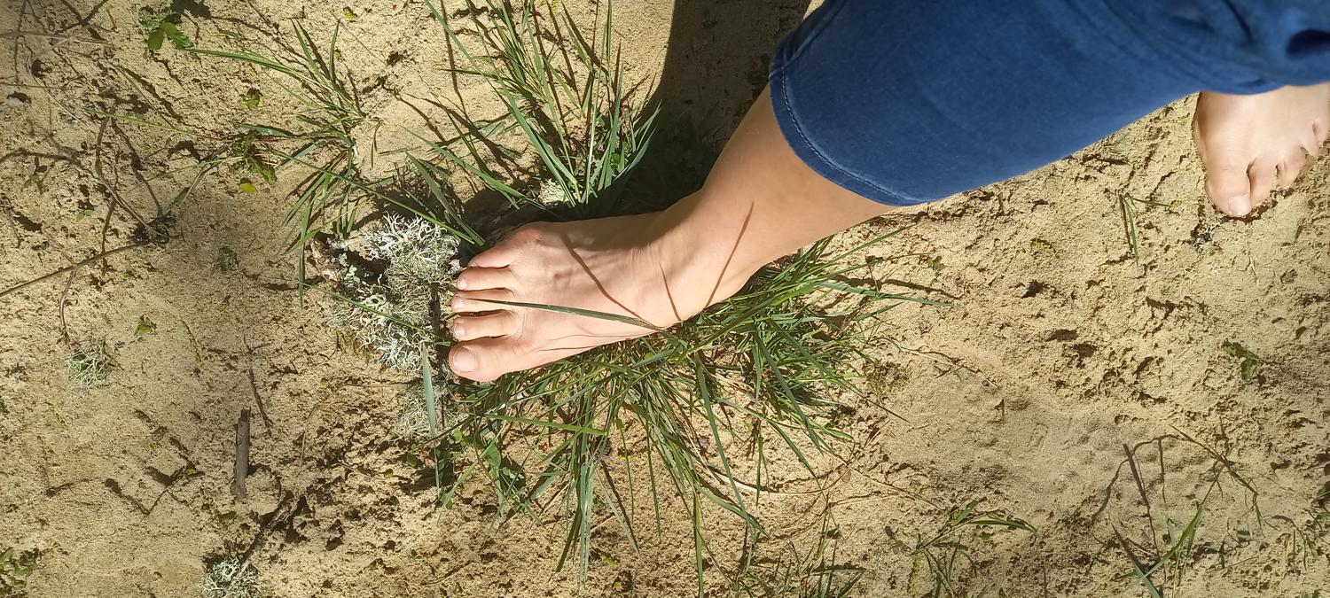 Pieds-nature's media