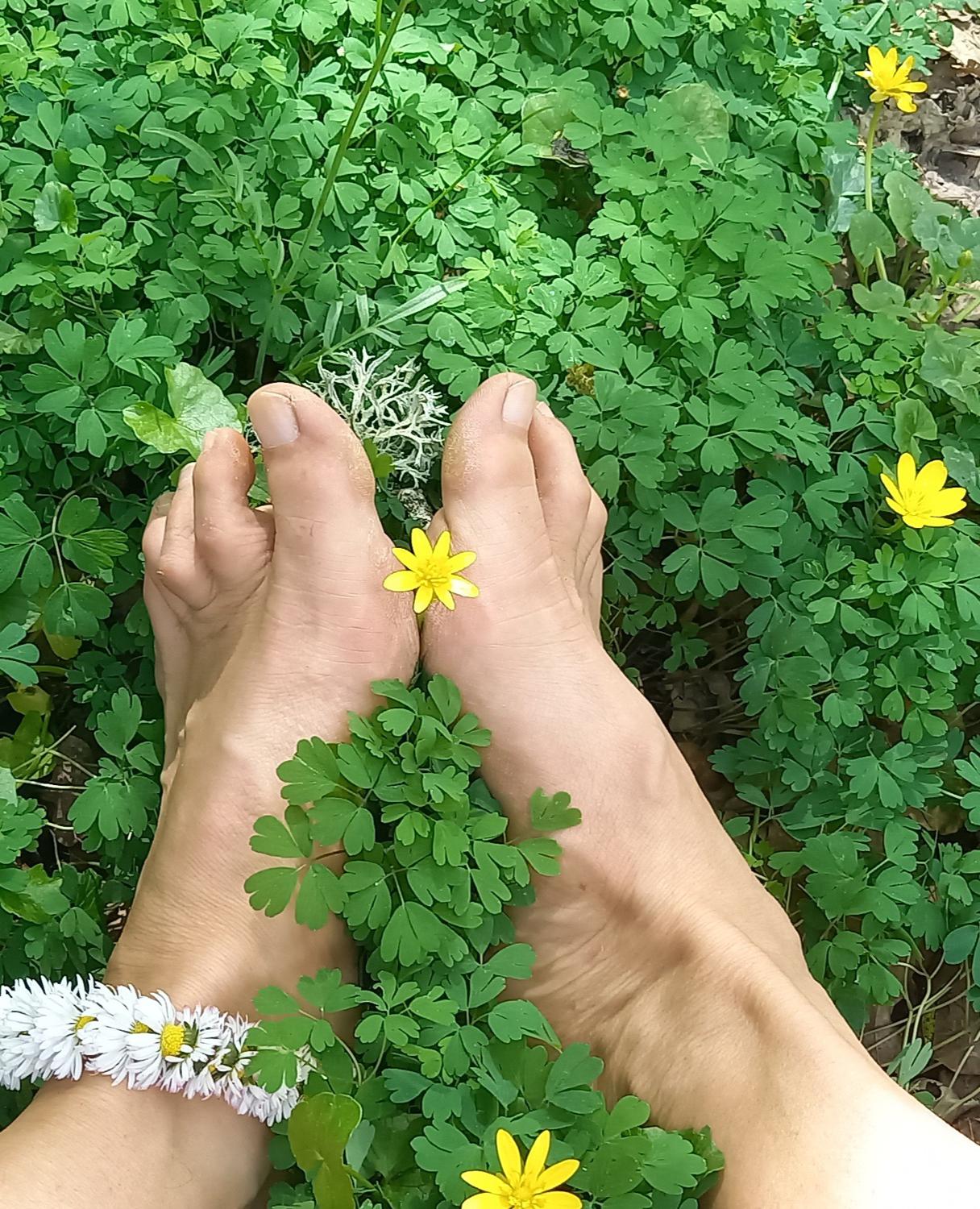Pieds-nature's media